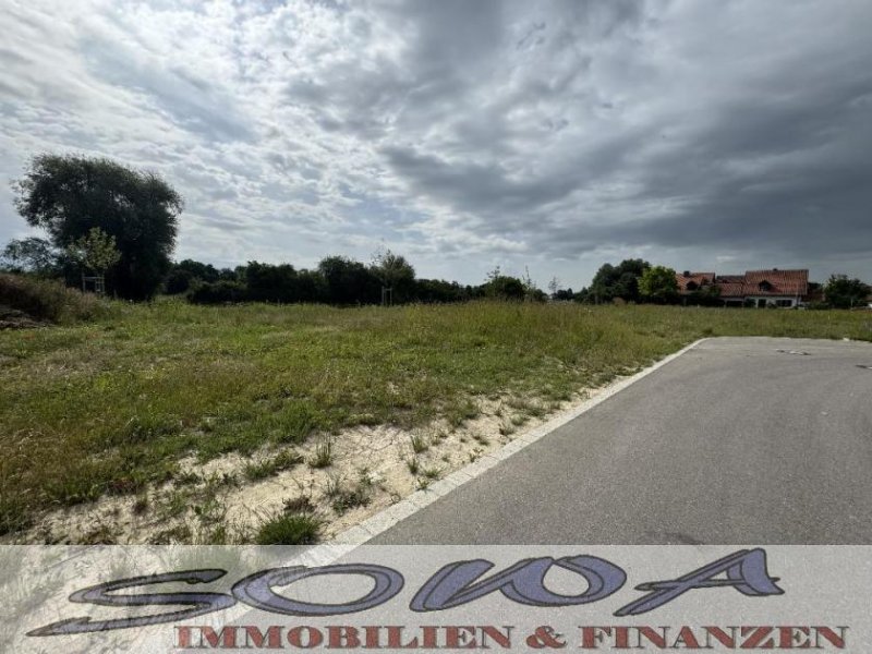 Neuburg an der Donau Gut geschnittenes Baugrundstück ohne Bauzwang in Neuburg Heinrichsheim - Ein Objekt von Ihrem Immobilienpartner SOWA Immobilien