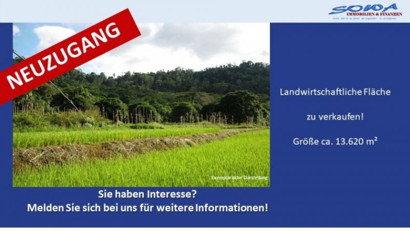 Königsmoos Großzügige Landwirtschaftsfläche in Untermaxfeld - Ein Objekt von SOWA Immobilien & Finanzen Ihrem Immobilienprofi vor
