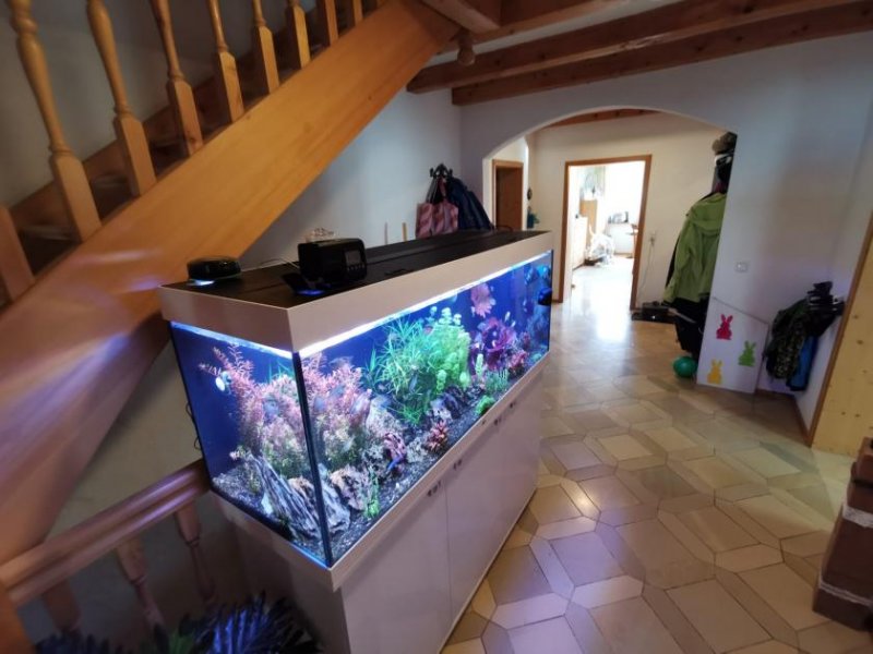 Denklingen Charmante Landhaushälfte mit idyllischem Flair – Nur 45 Minuten bis zum Stadtrand von München! Haus kaufen