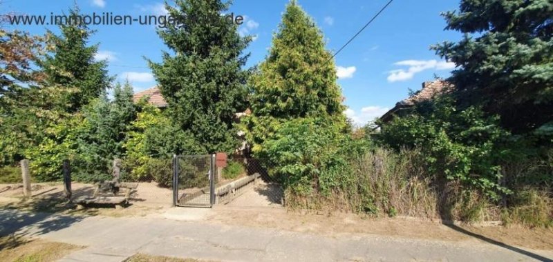 Somogy Megye Südlich des Plattensees gut erhaltenes Einfamilienhaus mit großem Grundstück zu verkaufen Haus kaufen