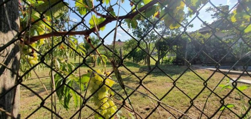 Somogy Megye Südlich des Plattensees gut erhaltenes Einfamilienhaus mit großem Grundstück zu verkaufen Haus kaufen