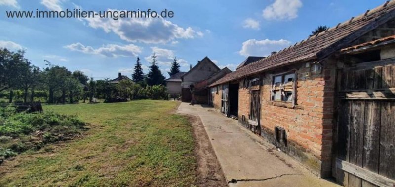 Somogy Megye Südlich des Plattensees gut erhaltenes Einfamilienhaus mit großem Grundstück zu verkaufen Haus kaufen