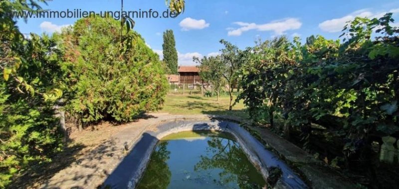 Somogy Megye Südlich des Plattensees gut erhaltenes Einfamilienhaus mit großem Grundstück zu verkaufen Haus kaufen