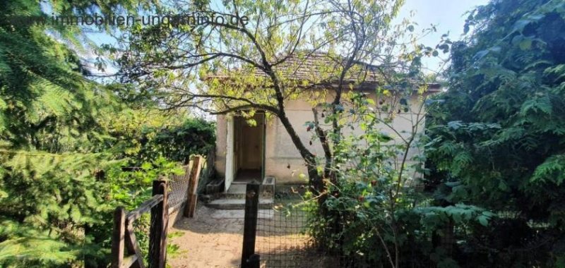 Somogy Megye Südlich des Plattensees gut erhaltenes Einfamilienhaus mit großem Grundstück zu verkaufen Haus kaufen