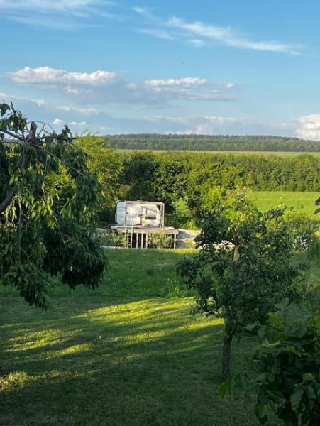 Balatonszentgyörgy Saniertes Bauernhaus mit Neubauten und Badeteich in der Nähe vom Balaton Haus kaufen