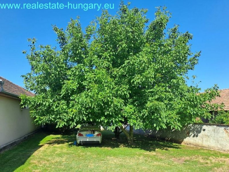 Balatonszentgyörgy Wohnhaus in Balatonnähe Haus kaufen