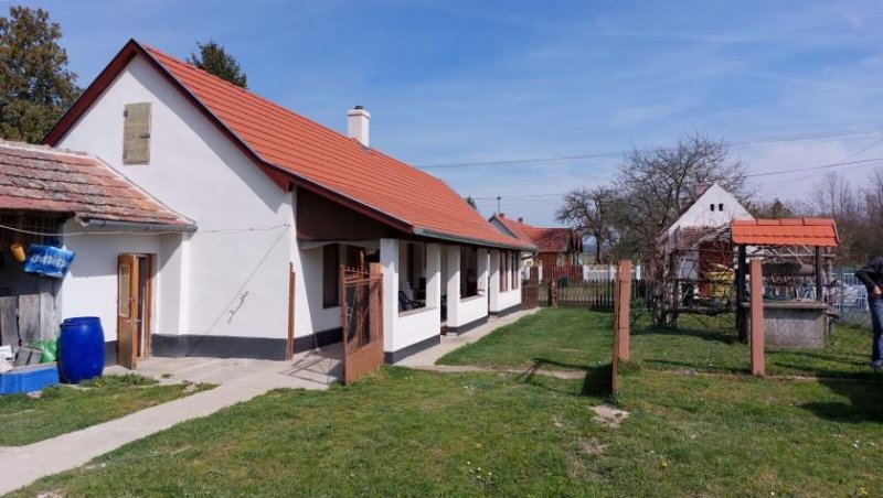 Region Südwest-Ufer Saniertes Bauernhaus mit Nebengebäuden in bevorzugter Wohnlage am Balaton Haus kaufen