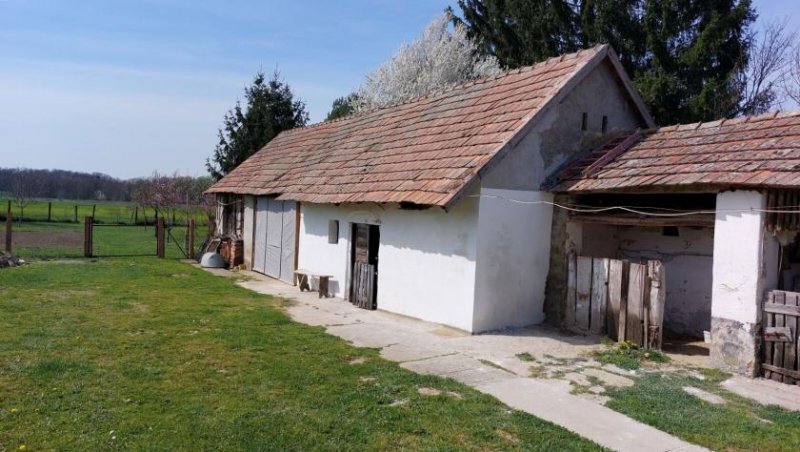 Region Südwest-Ufer Saniertes Bauernhaus mit Nebengebäuden in bevorzugter Wohnlage am Balaton Haus kaufen
