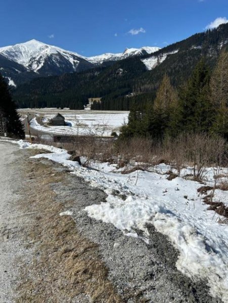 Hohentauern/Steiermark Baugrundstücke inklusiv Planung und einen schönen Weitblick Grundstück kaufen
