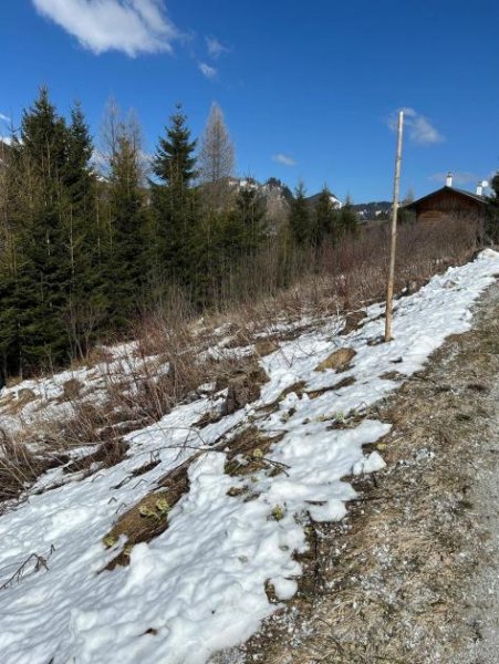 Hohentauern/Steiermark Baugrundstücke inklusiv Planung und einen schönen Weitblick Grundstück kaufen