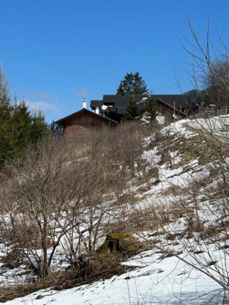 Hohentauern/Steiermark Baugrundstücke inklusiv Planung und einen schönen Weitblick Grundstück kaufen