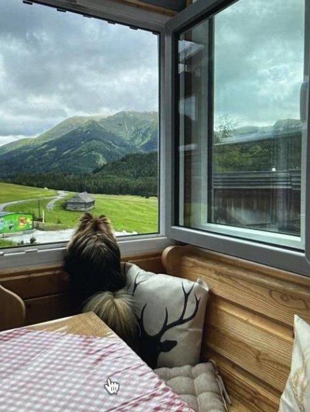 Hohentauern/Steiermark Ferienhaus mit Zweitwohnsitzwidmung! Haus kaufen