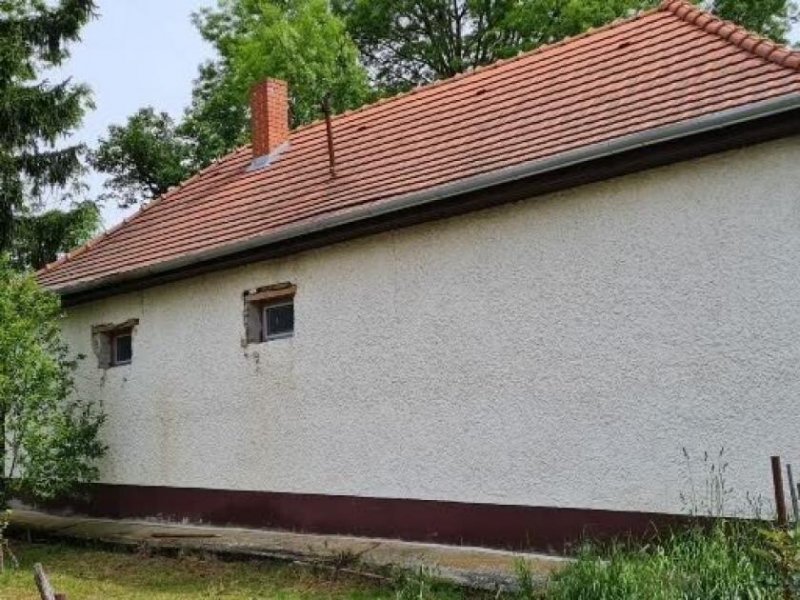 Kallósd Zu renovierendes Bauernhaus in idyllischer Lage Haus kaufen