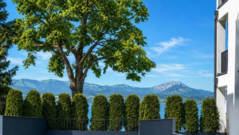 Lindau (Bodensee) Bieterverfahren – Extrem rares Baugrundstück mit Seesicht für bis zu 6 Wohnungen oder eine Villa! Grundstück kaufen