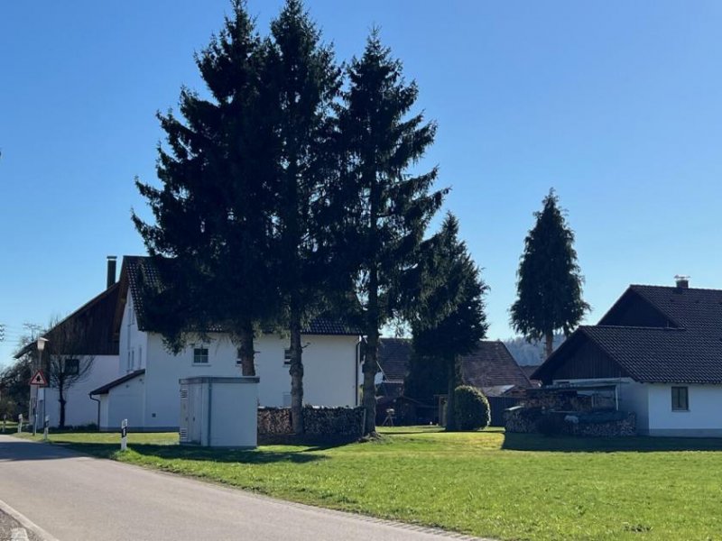 Aichstetten Logenplatz zur Natur Grundstück kaufen
