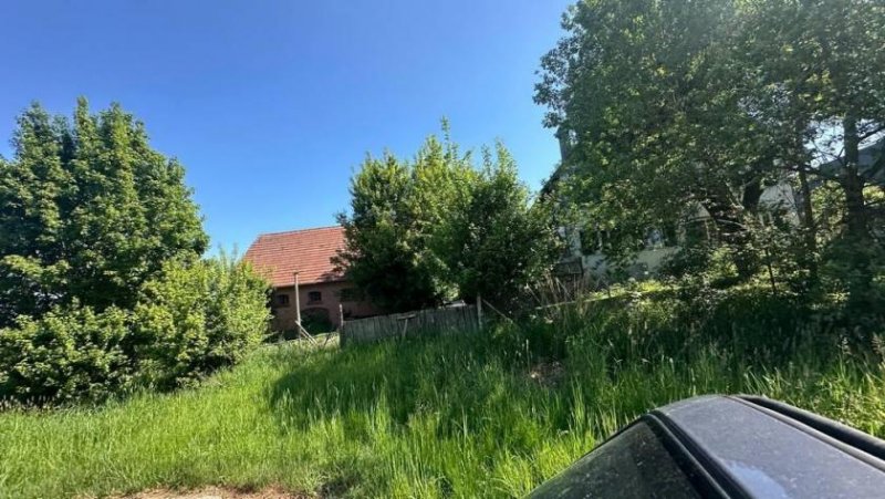Attenweiler Bauernhaus mit Scheune, Nebengebäuden und viel Land zu verkaufen! Haus kaufen