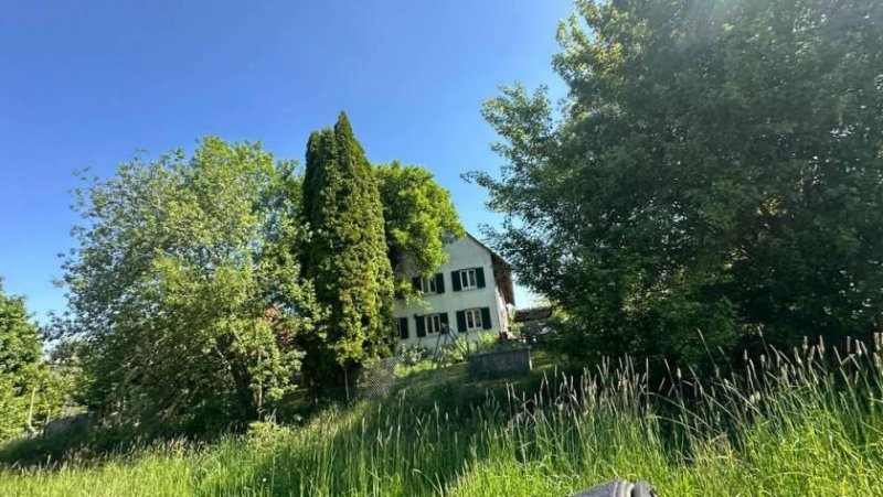 Attenweiler Pferdehaltung? Bauernhaus mit Scheune, Nebengebäuden und viel Land zu verkaufen! Gewerbe kaufen