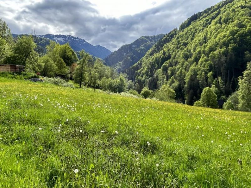 St. Gallen Baugrundstück mit Panoramablick Grundstück kaufen