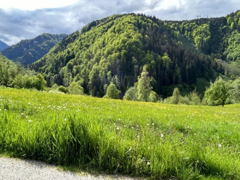 St. Gallen Baugrundstück mit Panoramablick Grundstück kaufen