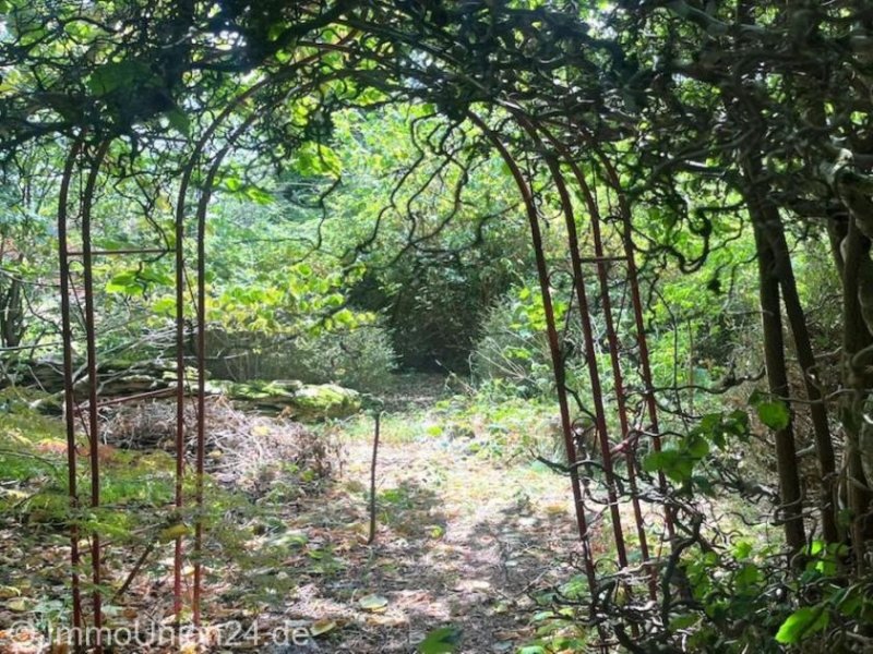 Weißenohe 249.000 für sanierungsbedürftigen RESTHOF mit großer Scheune in der Fränkischen Schweiz Haus kaufen