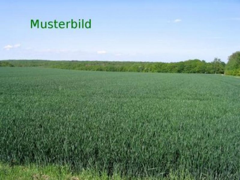 Aurach Acker und Wiesenflächen zum Verauf in der Gemarkung Weinberg Grundstück kaufen