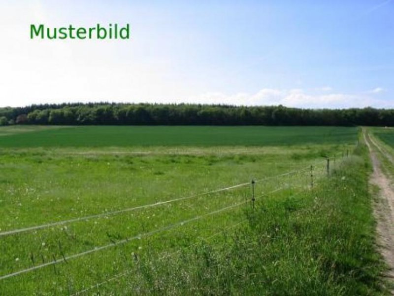 Aurach Acker und Wiesenflächen zum Verauf in der Gemarkung Weinberg Grundstück kaufen