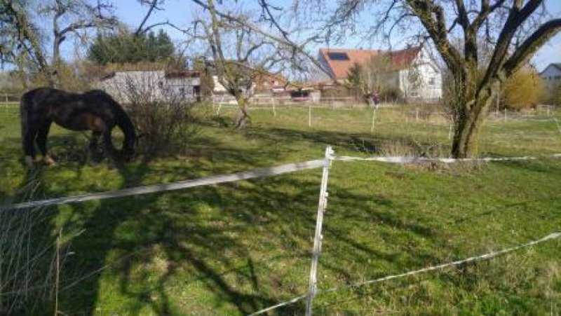 Ehingen (Landkreis Ansbach) ehem. Bauernhof mit Pferdekoppel, Wiesen, Ackerland und Wald in Mittelfranken mit Blick auf den Hesselberg Gewerbe kaufen