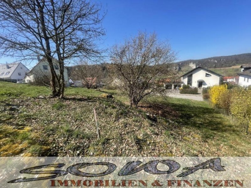 Wellheim Platz für Ihr Traumhaus - Großzügiges Baugrundstück in Wellheim mit Fernblick - ohne Bauzwang! - Ein Objekt von SOWA &