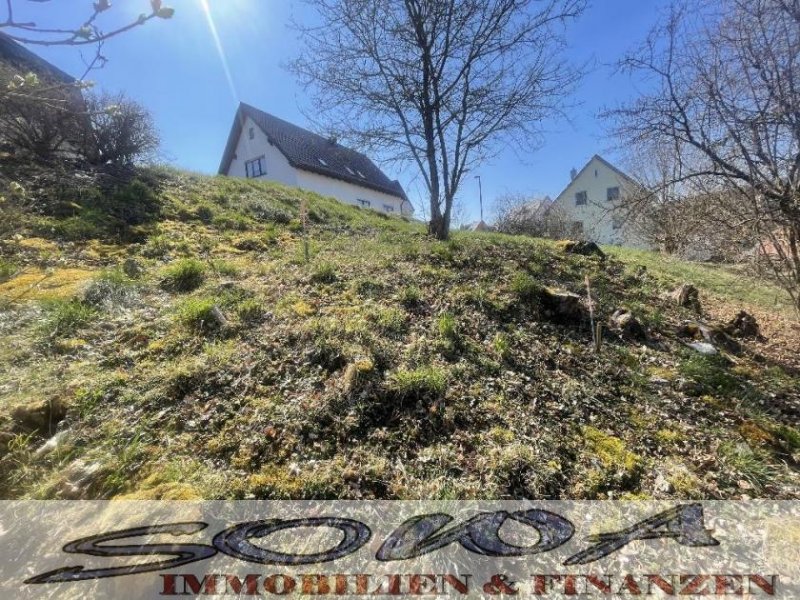 Wellheim Platz für Ihr Traumhaus - Großzügiges Baugrundstück in Wellheim mit Fernblick - ohne Bauzwang! - Ein Objekt von SOWA &