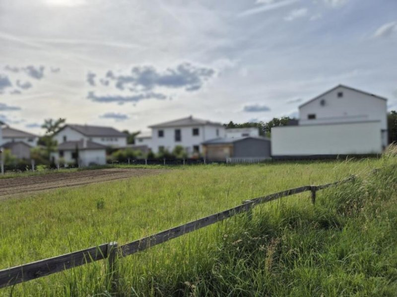 Postbauer-Heng RESERVIERT: Grundstück ohne Bauzwang Grundstück kaufen
