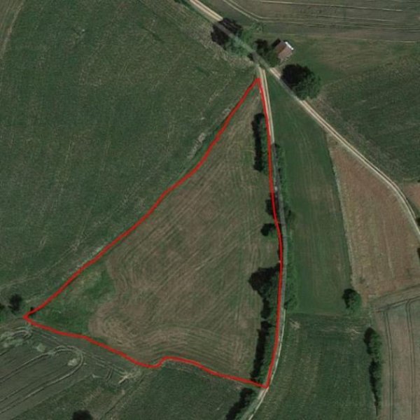 Schwarzhofen Landwirtschaftliches Grünland in Ortsrandlage von Denglarn Grundstück kaufen