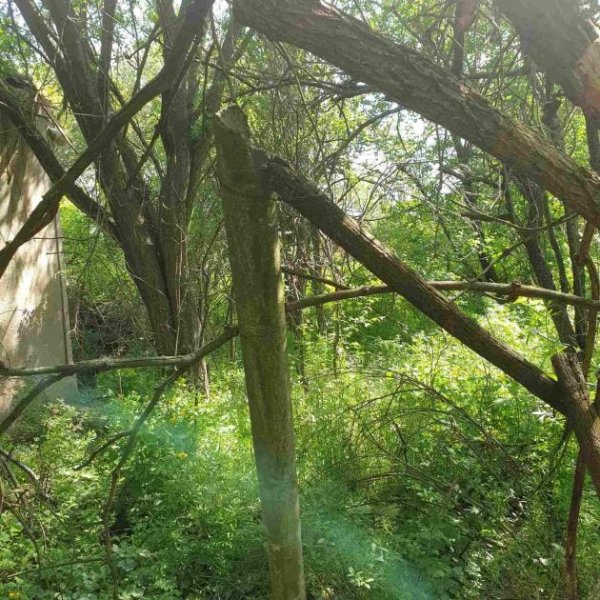 Bilo Grosses Baugrundstück mit Bestand nur 14 km zu den Stränden Haus kaufen