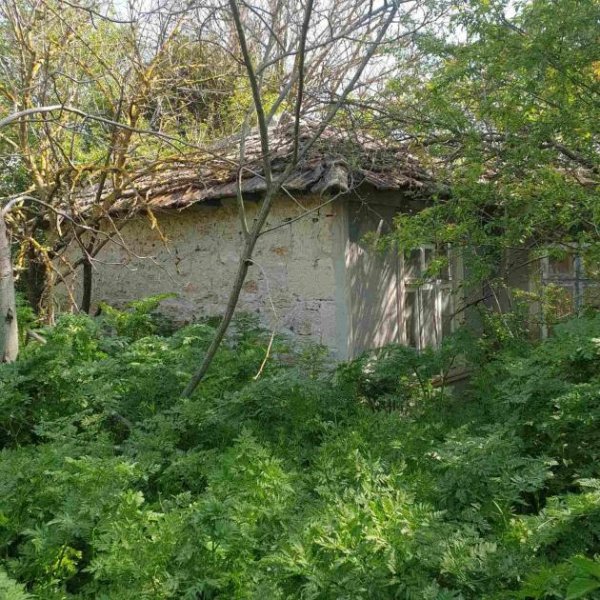 Bilo Grosses Baugrundstück mit Bestand nur 14 km zu den Stränden Haus kaufen