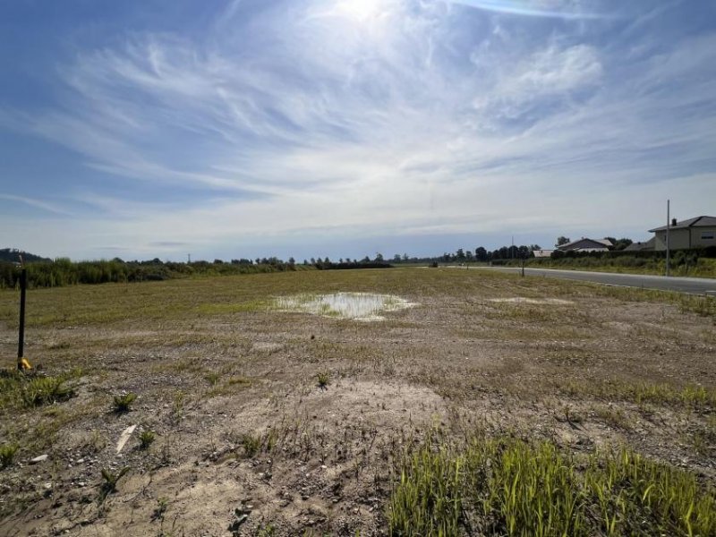 Ering Baugrundstück in ruhiger Siedlungslage in Ering am Inn Grundstück kaufen