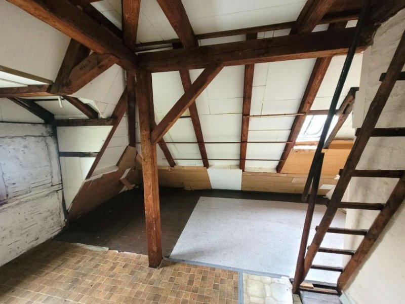 Hof Hof: Villa zum Wohnen und Arbeiten Nähe Theresienstein Haus kaufen