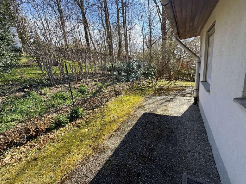 Hof Hof-Bestlage: Einfamilienhaus mit großem Grundstück Haus kaufen