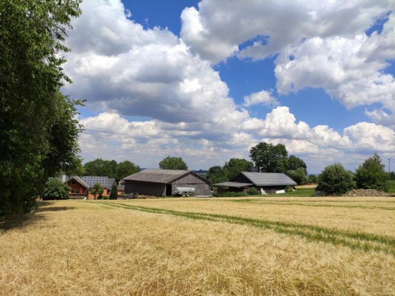 Konradsreuth 1365 - Nähe Hof: 1-2 Fam.Haus mit Scheune, Halle, Stall und Werkstatt Haus kaufen