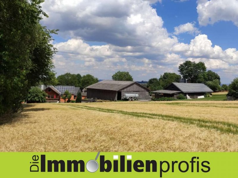 Konradsreuth Nähe Hof: 1-2 Fam.Haus mit Scheune, Halle, Stall und Werkstatt Haus kaufen
