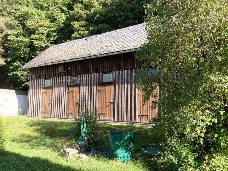 Konradsreuth Natur pur: 1-3 Familienhaus in Alleinlage bei Konradsreuth Haus kaufen