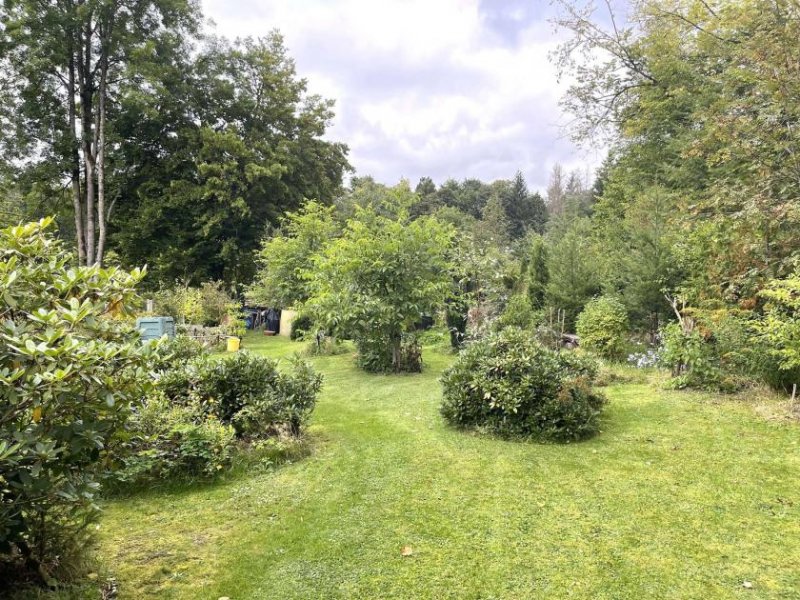 Geroldsgrün Charmantes 1-2 Familienhaus umgeben von Naturidylle in Geroldsgrün Haus kaufen