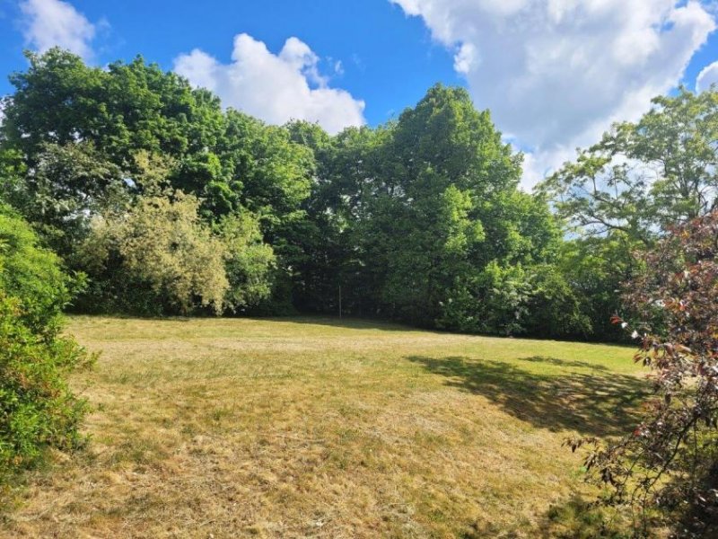 Feilitzsch 1346 - 2 km von Hof: Extravagantes Architektenhaus mit 3.000 m² Grundstück Haus kaufen