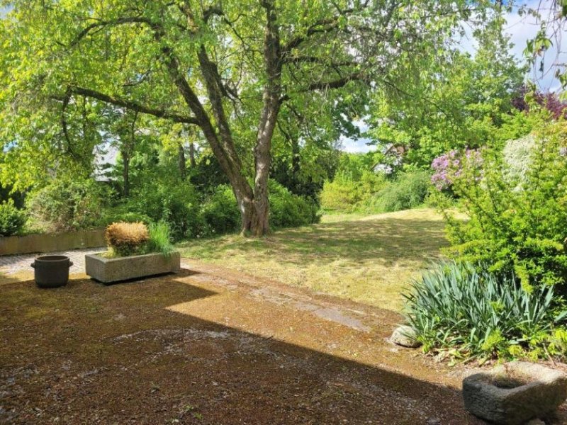 Feilitzsch 1346 - 2 km von Hof: Extravagantes Architektenhaus mit 3.000 m² Grundstück Haus kaufen