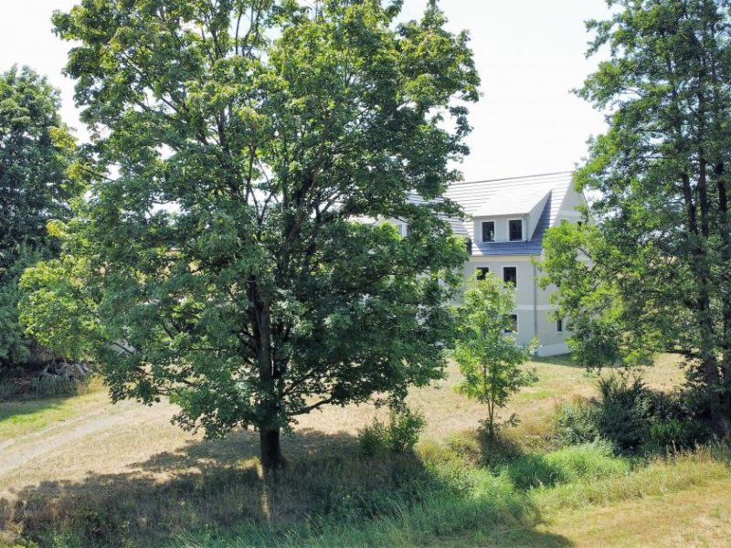 Gattendorf 1120 - MEGA-CHANCE - Lage, Lage, Lage - Traumanwesen in idyllischer Alleinlage Haus kaufen