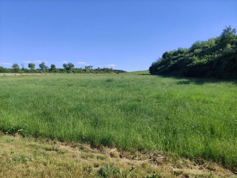 Köditz Hof 2 km: Gemütliches 1-Zimmer-Appartement mit Balkon Wohnung kaufen