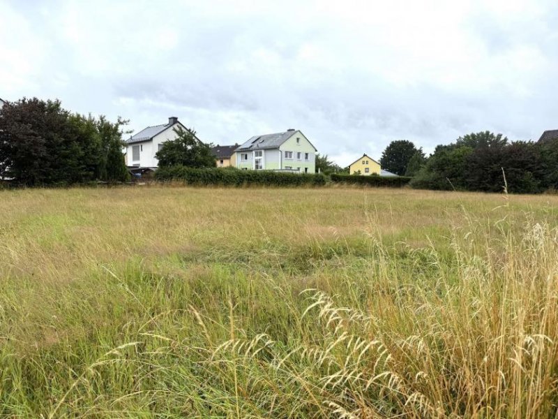 Sparneck Baugrundstück in Sparneck i. Fichtelgebirge Grundstück kaufen