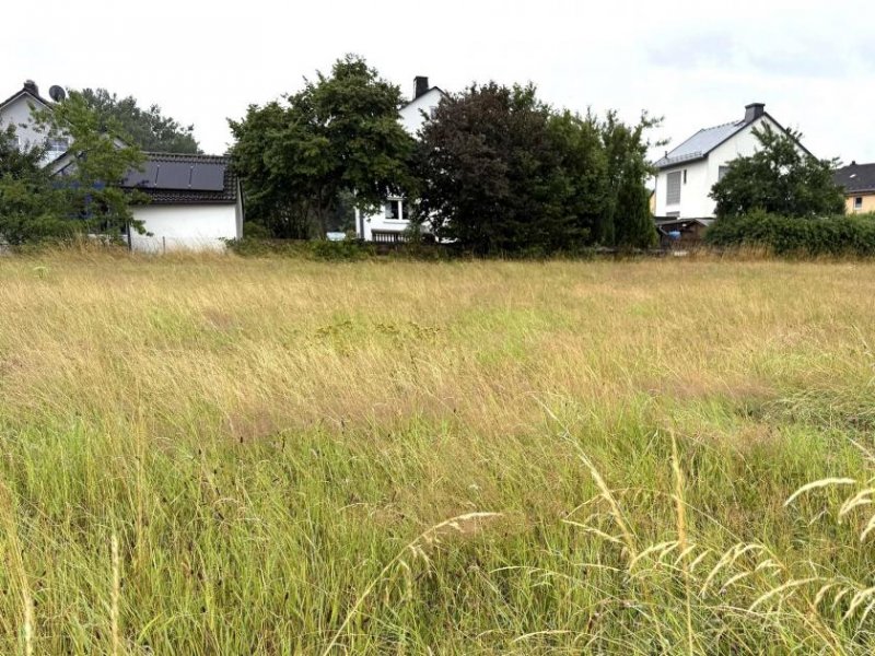 Sparneck Schönes Baugrundstück am Fuße des Waldsteins Grundstück kaufen
