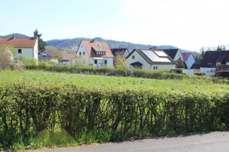 Untersteinach Herrlich sonniges Baugrundstück in Untersteinach! Grundstück kaufen