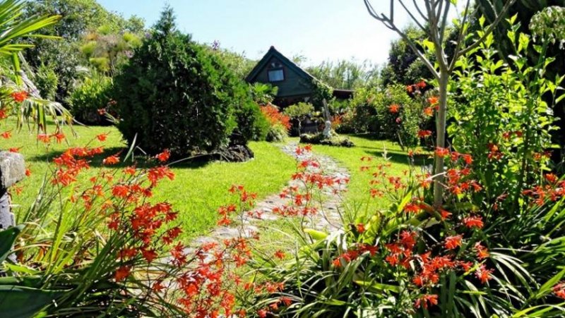 Lomba do Vasco Neue Existenz, Azoren! Traumhafte Ferienanlage, Haupthaus + 3 Ferienhäuser, mediterraner Garten Haus kaufen