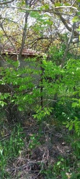 Chelopechene Bauland Chelopechene 18 km zu den Strändem EUR 18/m² Grundstück kaufen