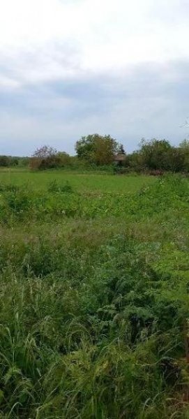 Chelopechene Bauland Chelopechene 18 km zu den Strändem EUR 18/m² Grundstück kaufen